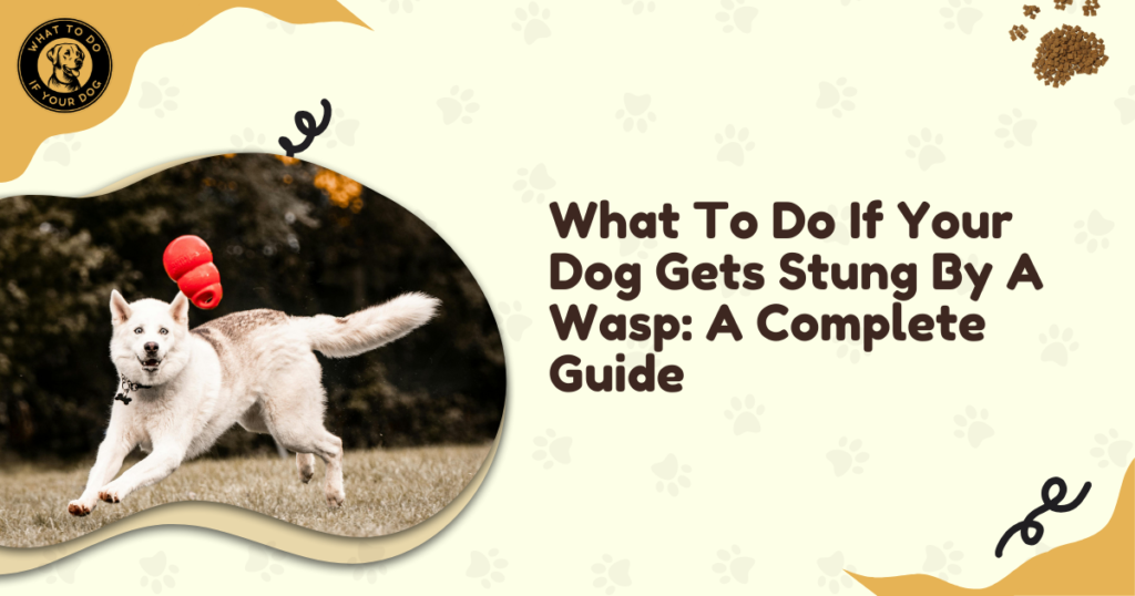 What To Do If Your Dog Gets Stung By A Wasp: A Complete Guide