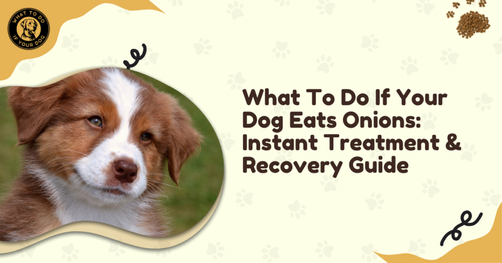 What To Do If Your Dog Eats Onions: Instant Treatment & Recovery Guide