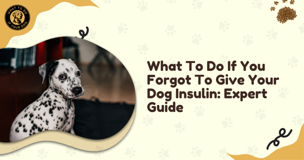 What To Do If You Forgot To Give Your Dog Insulin: Expert Guide