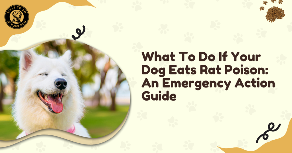 What To Do If Your Dog Eats Rat Poison: An Emergency Action Guide