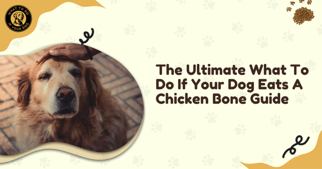 The Ultimate What To Do If Your Dog Eats A Chicken Bone Guide