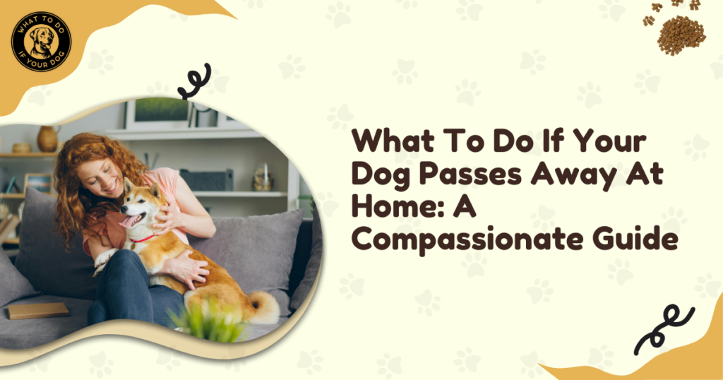 What To Do If Your Dog Passes Away At Home: A Compassionate Guide