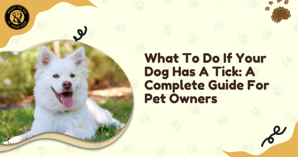 What To Do If Your Dog Has A Tick: A Complete Guide For Pet Owners