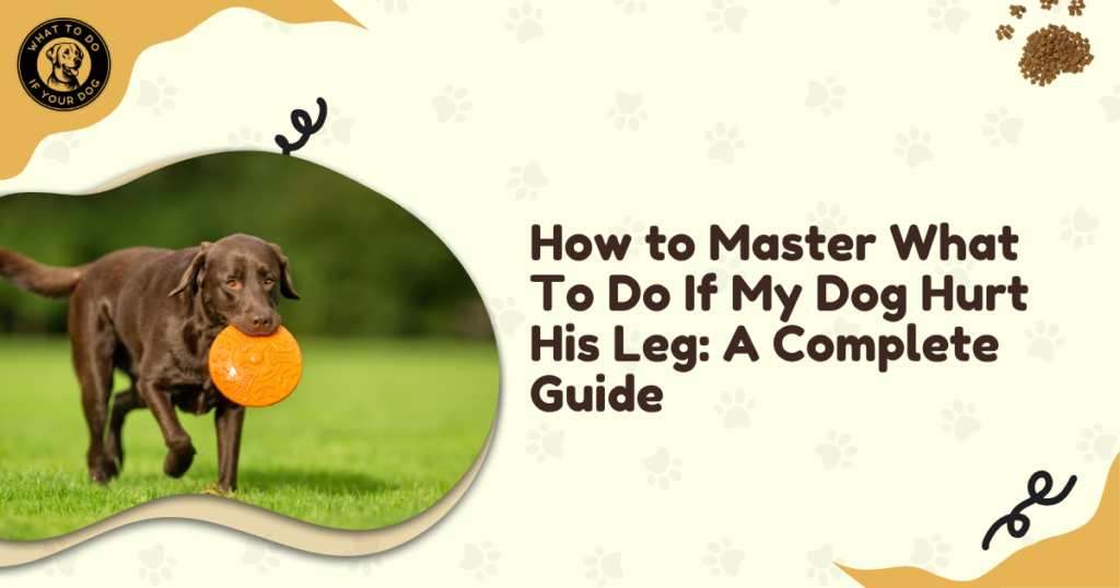 How to Master What To Do If My Dog Hurt His Leg: A Complete Guide