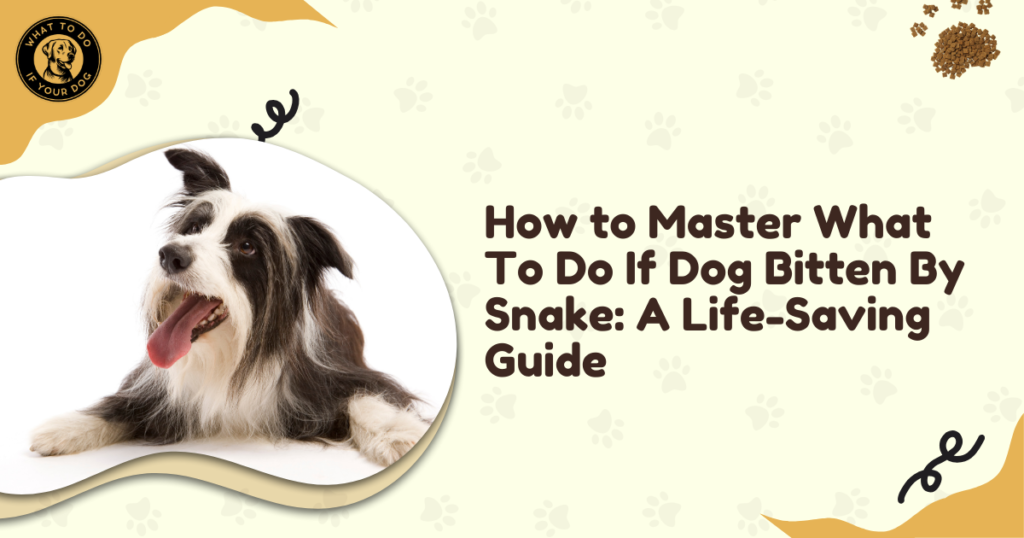 How to Master What To Do If Dog Bitten By Snake: A Life-Saving Guide