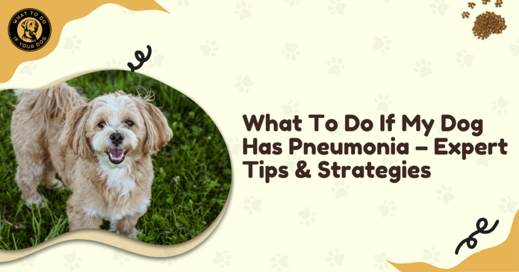 What To Do If My Dog Has Pneumonia - Expert Tips & Strategies