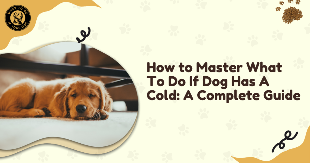 How to Master What To Do If Dog Has A Cold: A Complete Guide