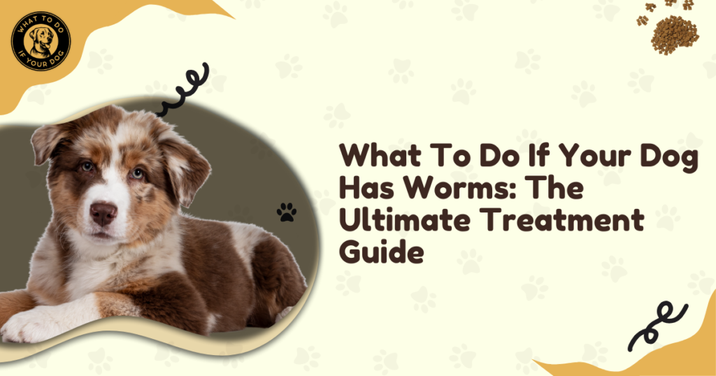 What To Do If Your Dog Has Worms: The Ultimate Treatment Guide
