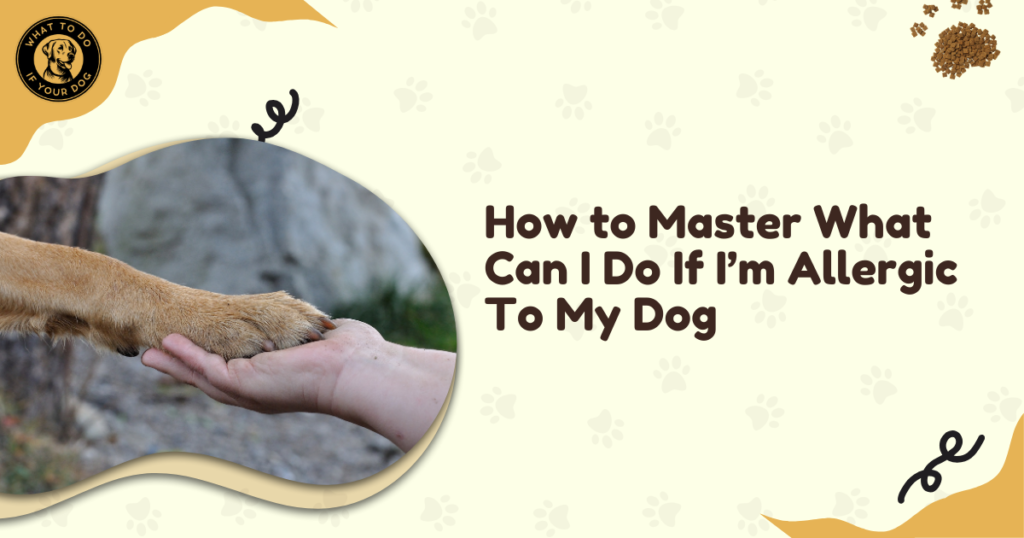 How to Master What Can I Do If I'm Allergic To My Dog