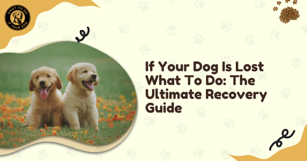 If Your Dog Is Lost What To Do: The Ultimate Recovery Guide