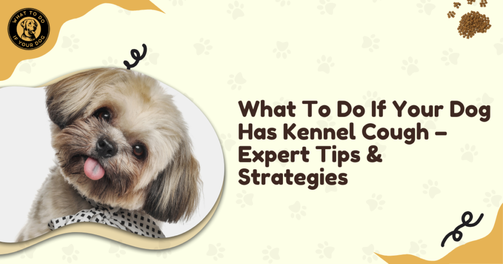 What To Do If Your Dog Has Kennel Cough - Expert Tips & Strategies