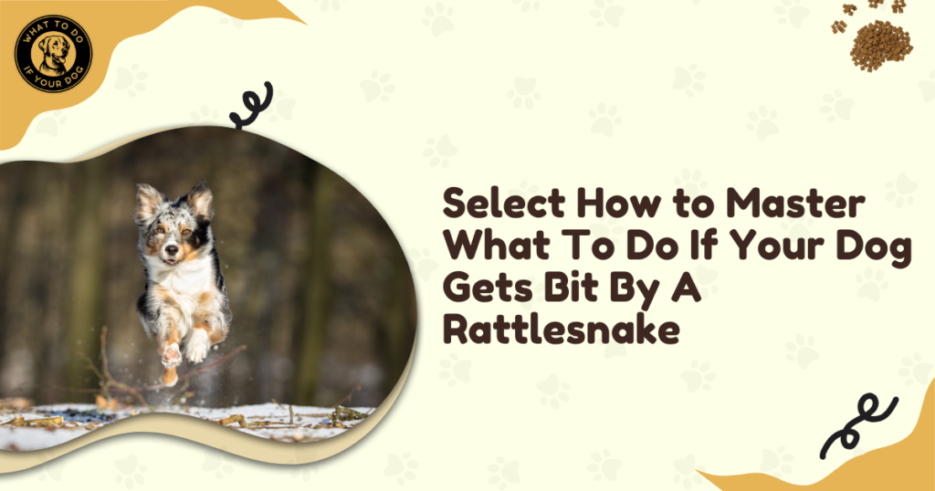 How to Master What To Do If Your Dog Gets Bit By A Rattlesnake