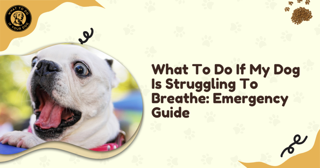 What To Do If My Dog Is Struggling To Breathe: Emergency Guide
